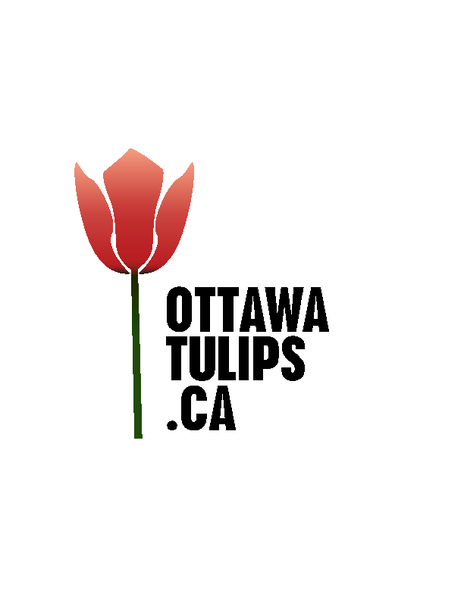 Ottawa Tulips